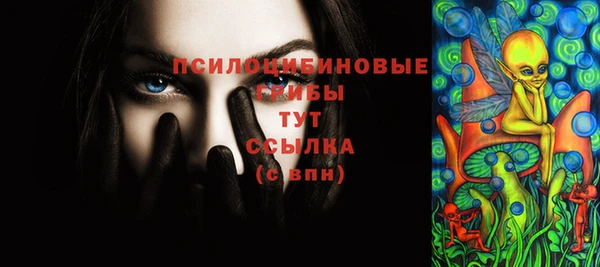 трава Абаза