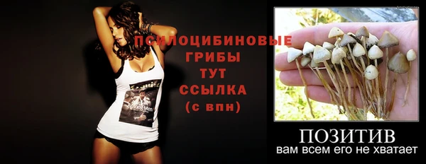 трава Абаза