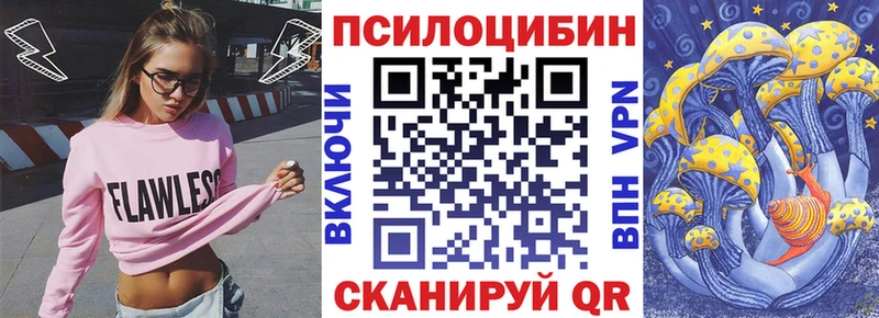 дарнет шоп  Куровское  Галлюциногенные грибы мухоморы 